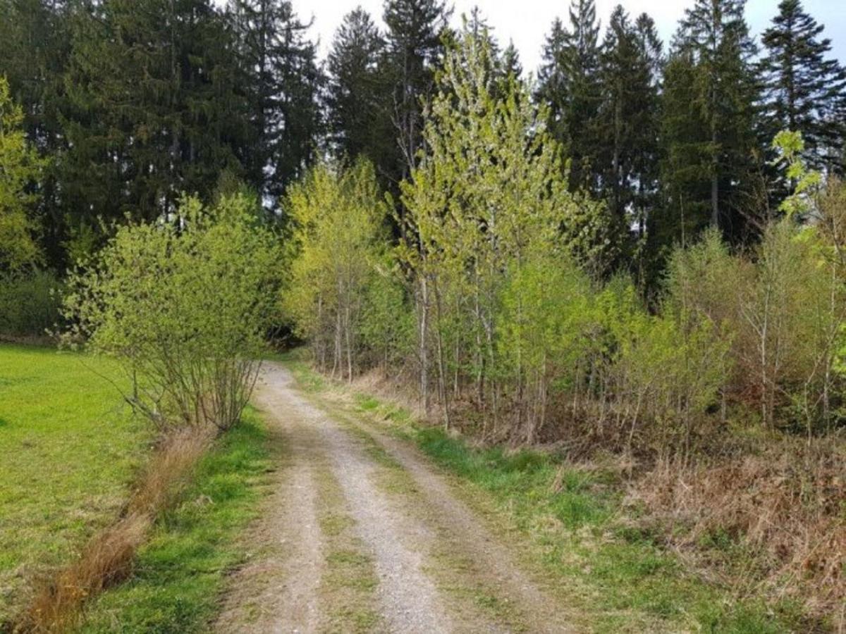 Ferienappartement Am Nadenberg Lindenberg im Allgäu Exteriör bild