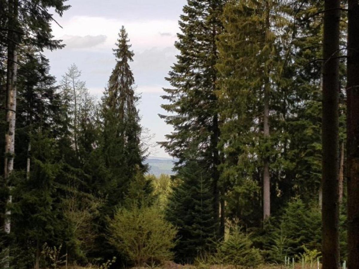 Ferienappartement Am Nadenberg Lindenberg im Allgäu Exteriör bild